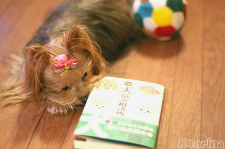 クリックすると拡大します♪