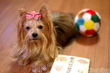 クリックすると拡大します♪