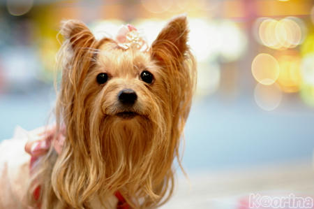 クリックすると拡大します♪