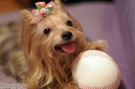 クリックすると拡大します♪