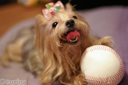 クリックすると拡大します♪