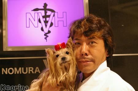 クリックすると拡大します♪