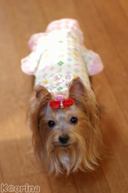 クリックすると拡大します♪