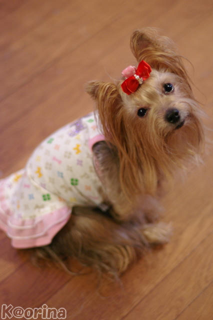 クリックすると拡大します♪