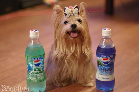 クリックすると拡大します♪