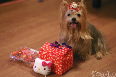 クリックすると拡大します♪