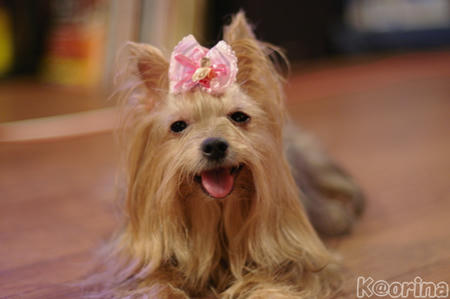 クリックすると拡大します♪