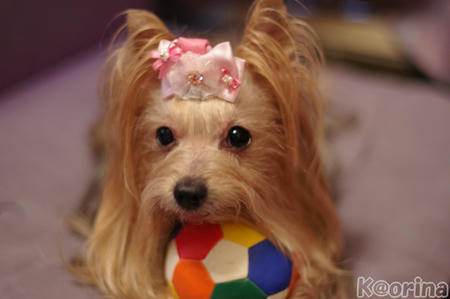 クリックすると拡大します♪