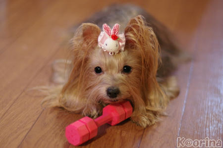 クリックすると拡大します♪