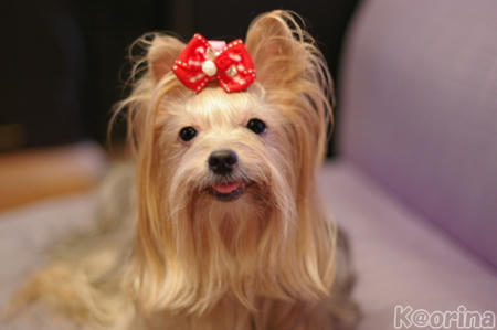 クリックすると拡大します♪