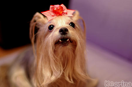 クリックすると拡大します♪