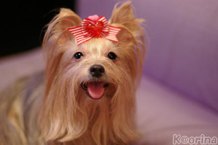 クリックすると拡大します♪