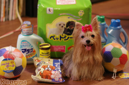 クリックすると拡大します♪