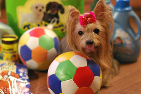 クリックすると拡大します♪