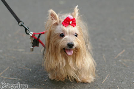 クリックすると拡大します♪