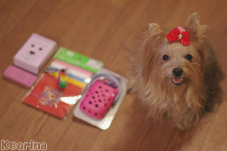 クリックすると拡大します♪