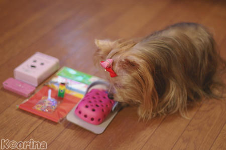 クリックすると拡大します♪