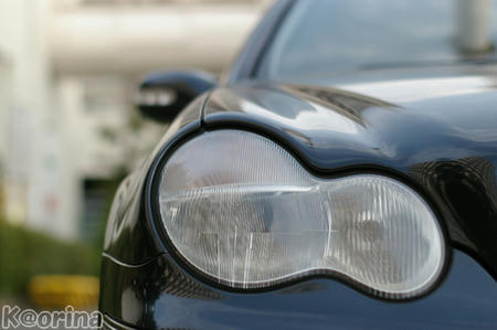 クリックすると拡大します♪