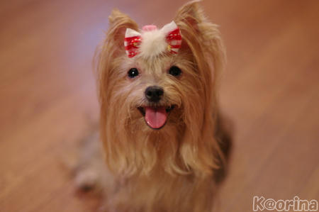 クリックすると拡大します♪