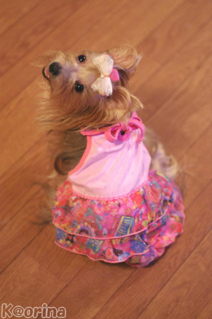 クリックすると拡大します♪