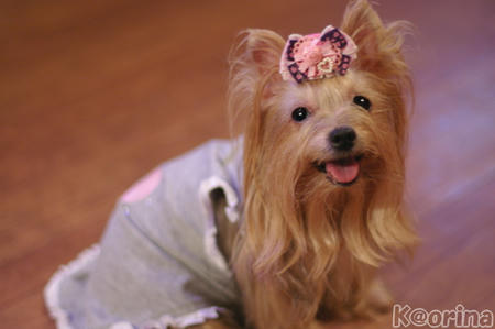 クリックすると拡大します♪