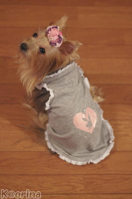 クリックすると拡大します♪