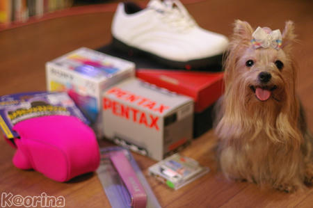 クリックすると拡大します♪