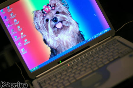 クリックすると拡大します♪