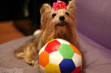 クリックすると拡大します♪