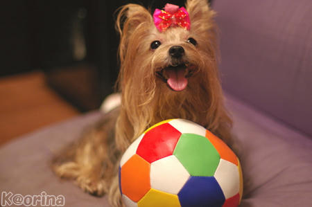 クリックすると拡大します♪