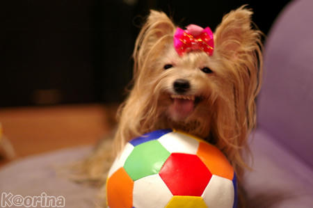 クリックすると拡大します♪