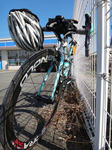 DSC00717.jpg