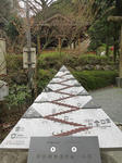 DSC00776.jpg