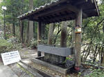 DSC00782.jpg