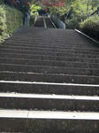 DSC00783.jpg