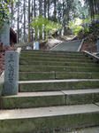 DSC00785.jpg