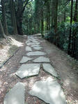 DSC00786.jpg