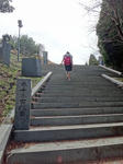 DSC00787.jpg