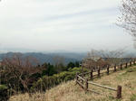 DSC00791.jpg