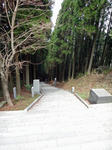 DSC00794.jpg