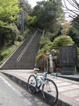 DSC00796.jpg