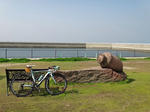 DSC00799.jpg
