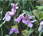 329f34f8.jpg