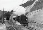 73de7524.jpg
