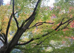cb2c1a07.jpg