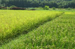 20100831.JPG