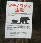 74f98744.JPG