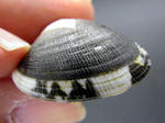 3facf5b6.jpg