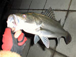 071130-2.jpg
