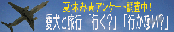 img20070719_p.gif